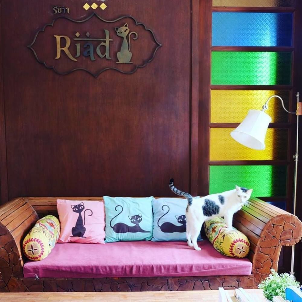 Riad Hua Hin Ngoại thất bức ảnh